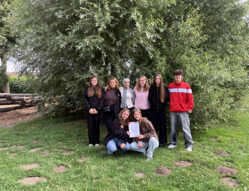 „Balu und Du“ – Schülerinnen und Schüler aus der Oberstufe wachsen über sich hinaus