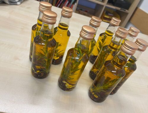 Sozialtage im Jahrgang 10 – Engagement für einen guten Zweck