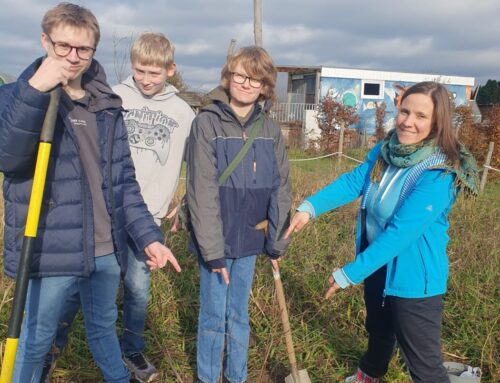 Challenge: Baum pflanzen